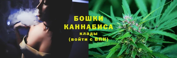 шишки Балабаново