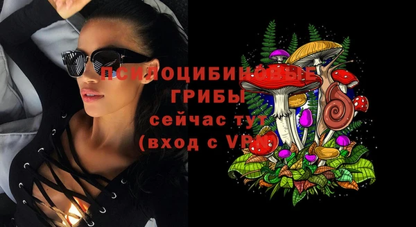 ALPHA-PVP Армянск