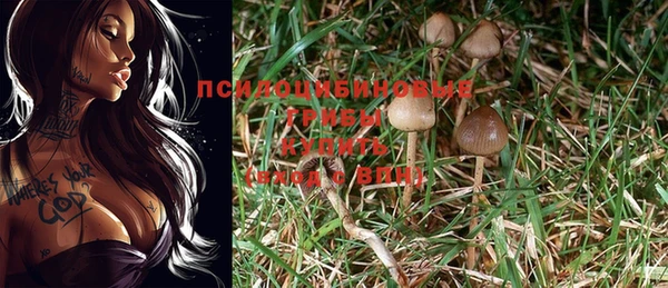 шишки Балабаново