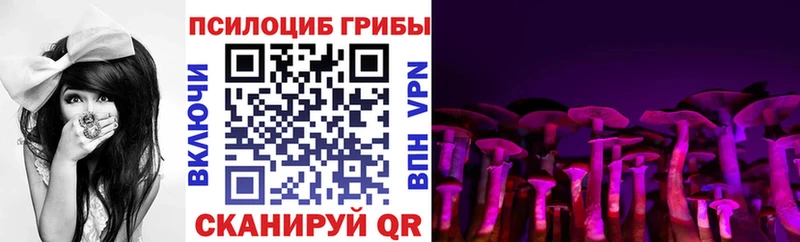 Галлюциногенные грибы Psilocybine cubensis  Нея 