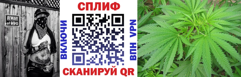дарк нет наркотические препараты  закладки  Нея  Шишки марихуана White Widow 